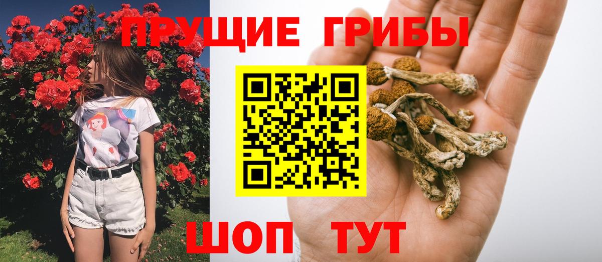 Ревда  Галлюциногенные грибы GOLDEN TEACHER  Вход с VPN 